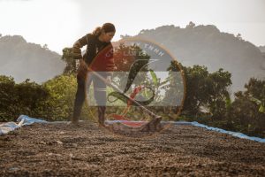 Cung cấp cà phê hạt rang xuất khẩu chất lượng cao